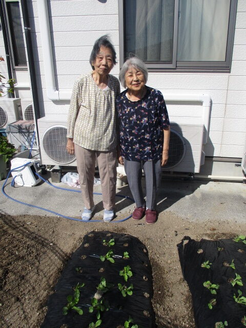 井口台　　畑の様子です　