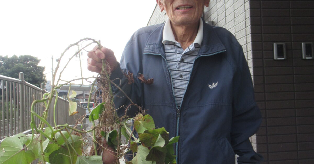 小規模多機能ホーム五日市　芋ほり🍠