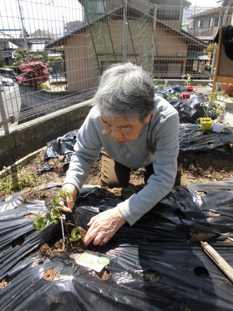 サムネイル