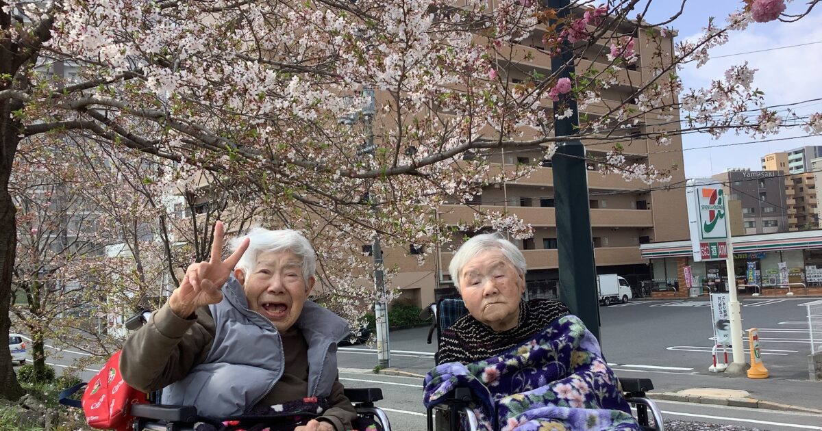 舟入　さくら🌸