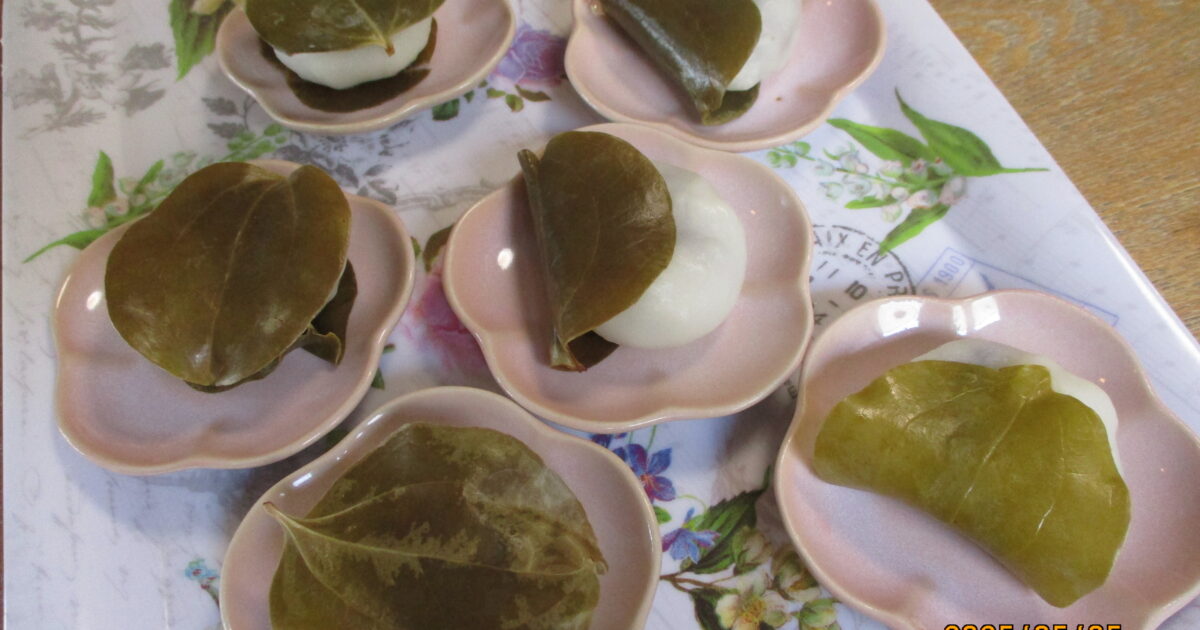 端午の節句会(柏餅編)