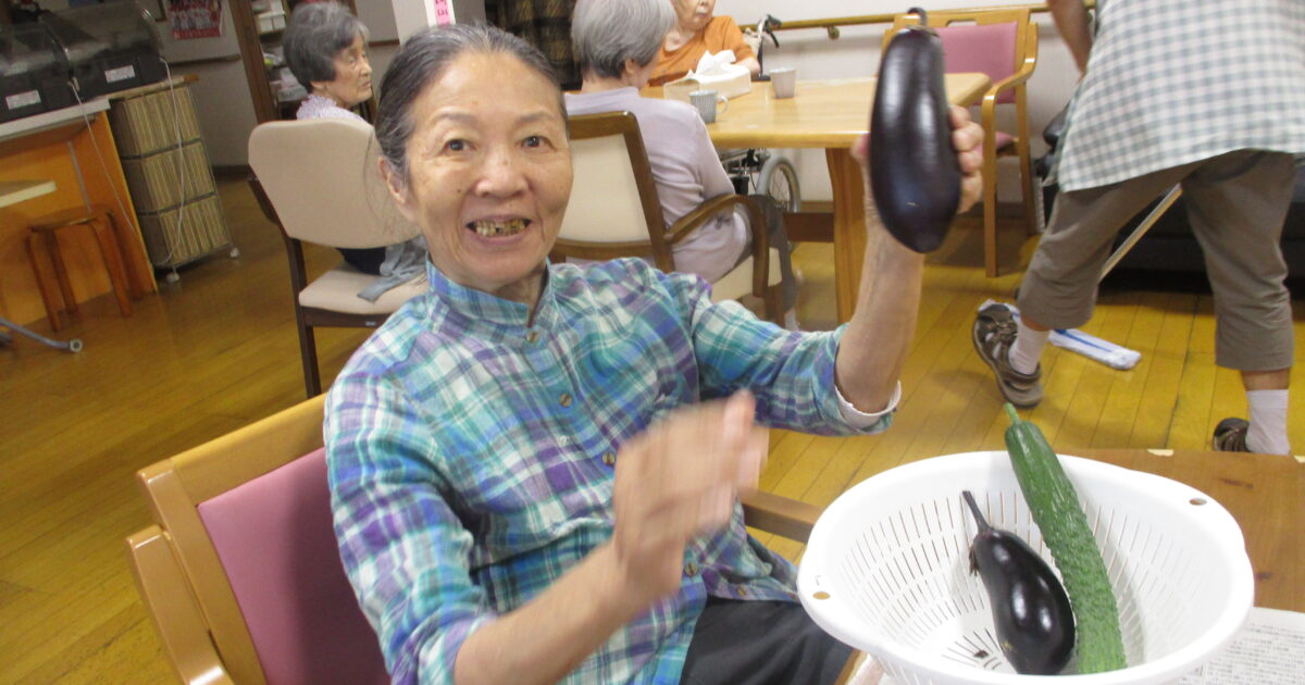 井口台　畑の野菜