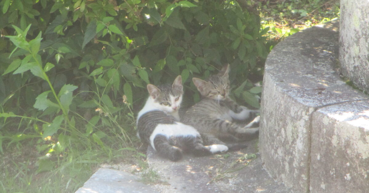 ～ おでかけ ～