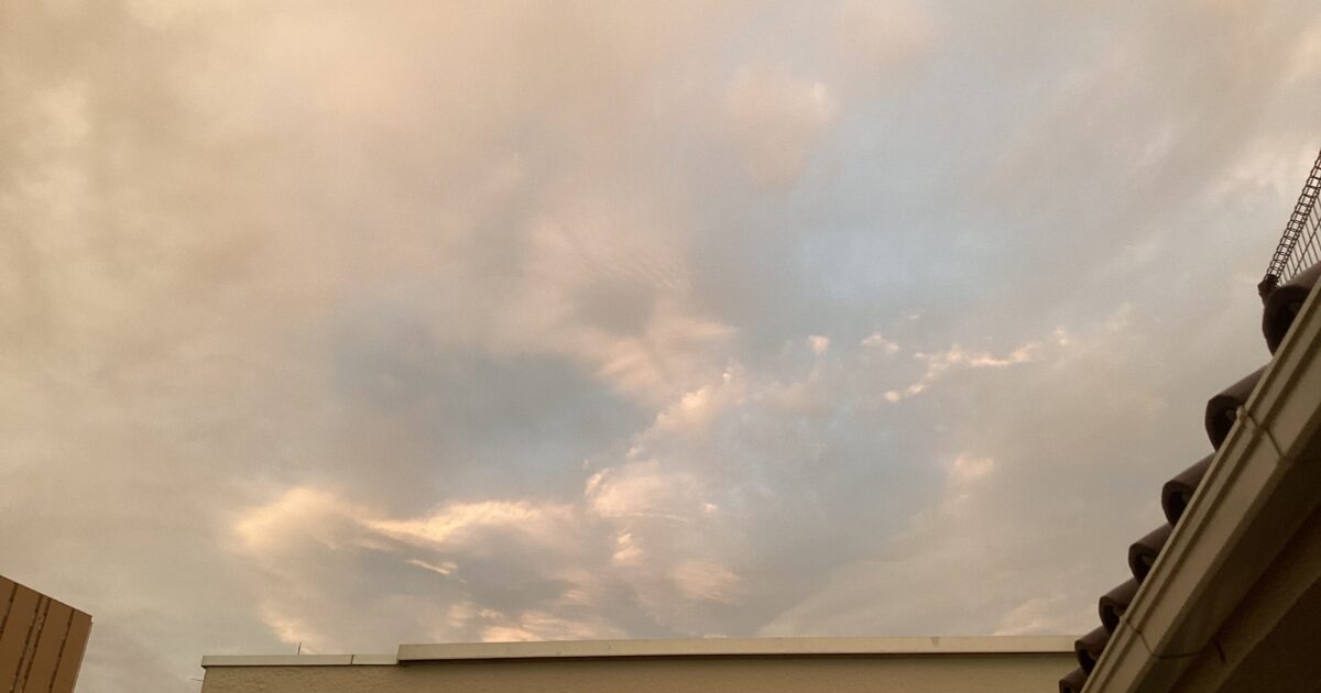夕方かと思った😅
