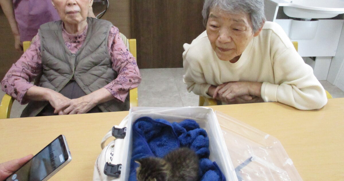 大野　猫ちゃんです🐈