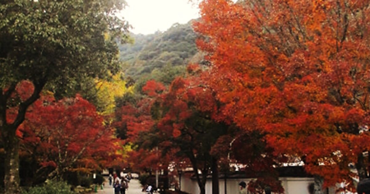 GH：紅葉を見に行こう！