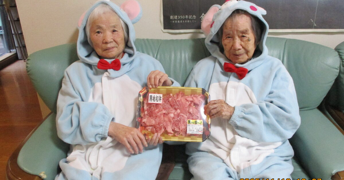 November Best picture collection 📷