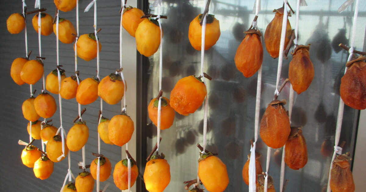 井口台　干し柿　第三弾