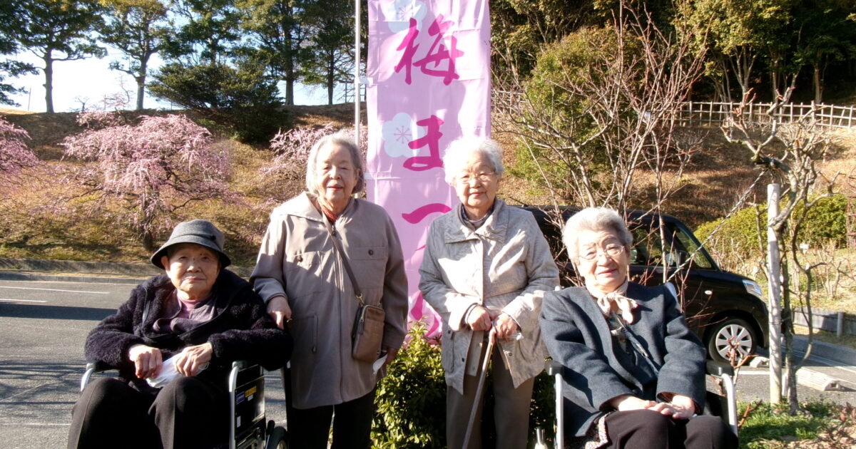 錦帯橋小規模☆梅見日和😍