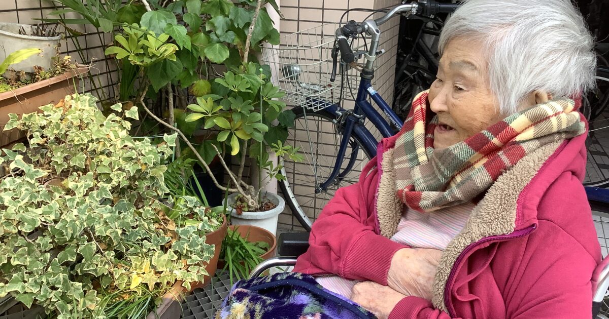 舟入　冬のお散歩