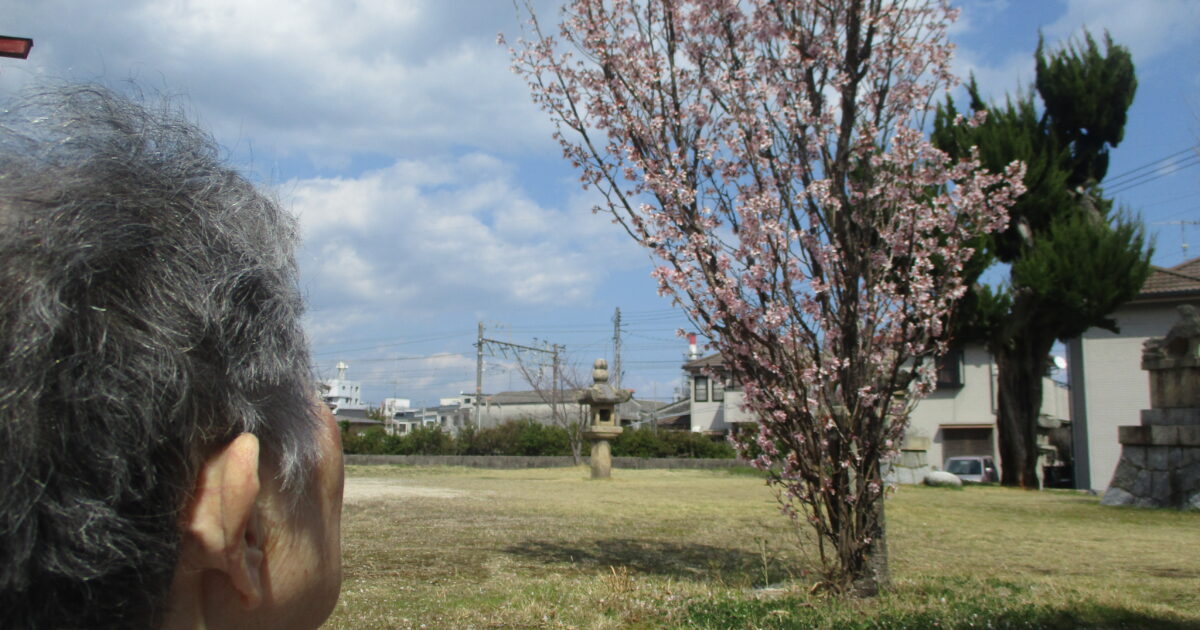 春～が来た🌸🌳