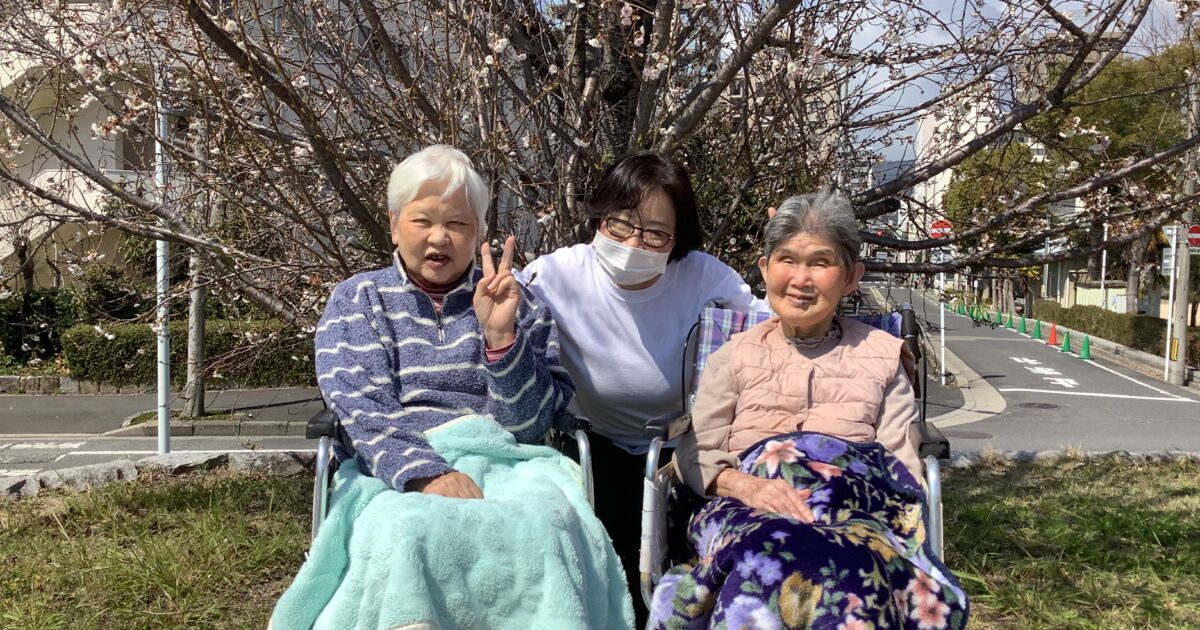 舟入　咲き始め