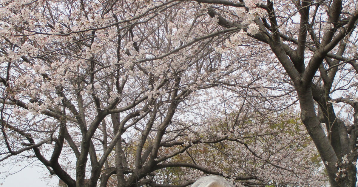 井口台　　お花見に行っています　③