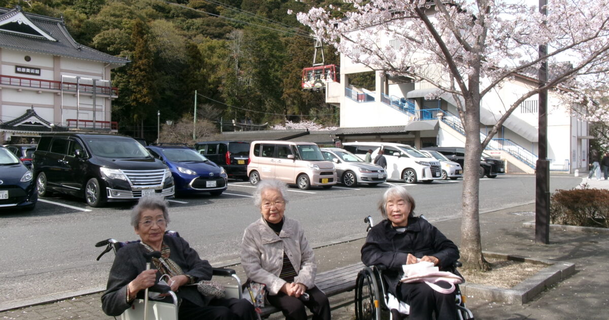 錦帯橋小規模☆お花見①