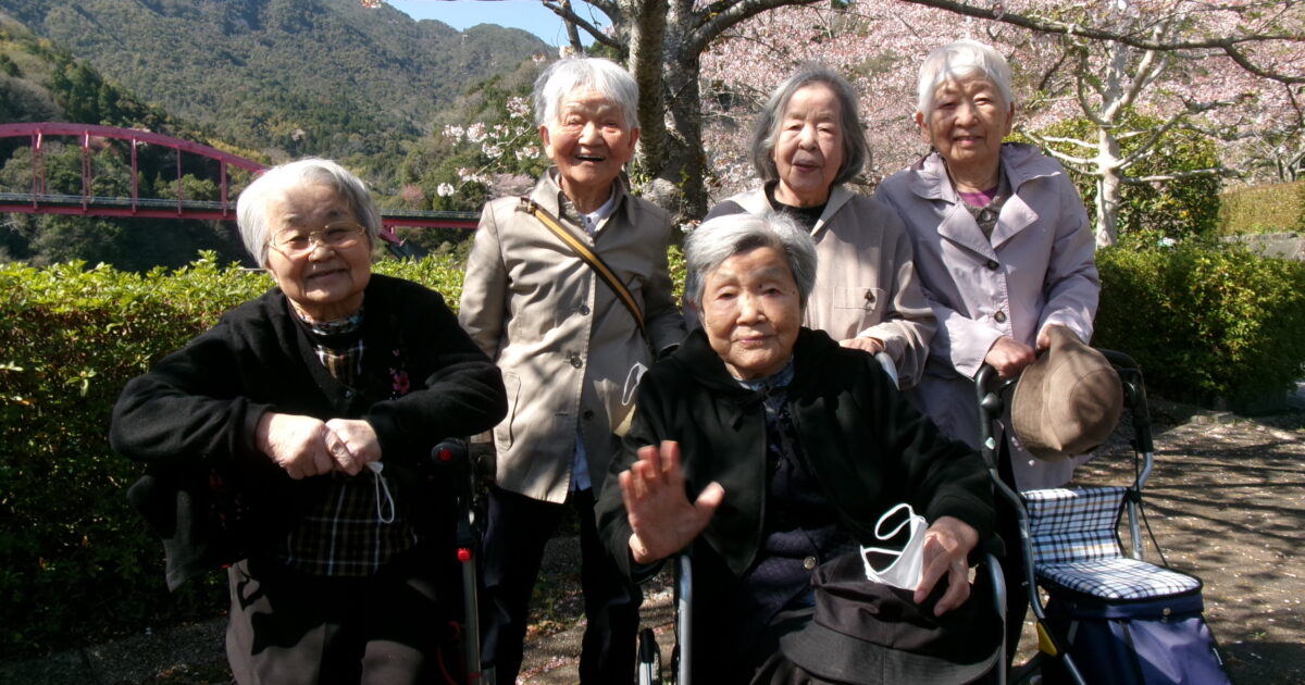 錦帯橋小規模☆お花見　第５弾！🌸