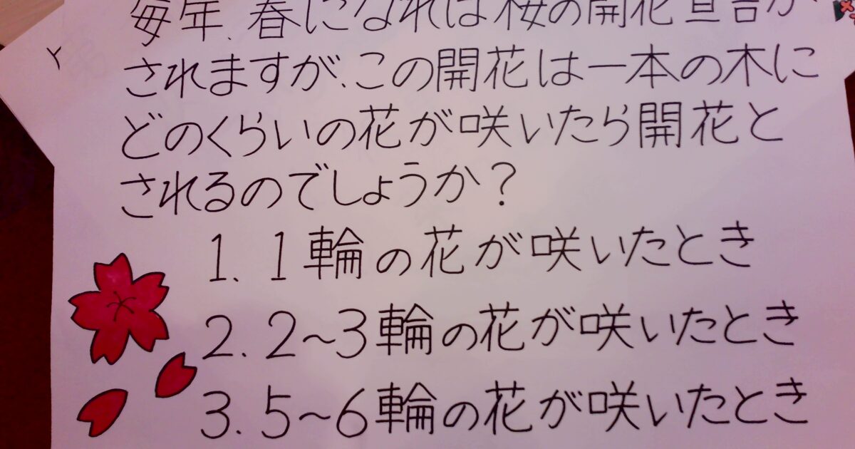🌸お花見会🌸を行ないました♪