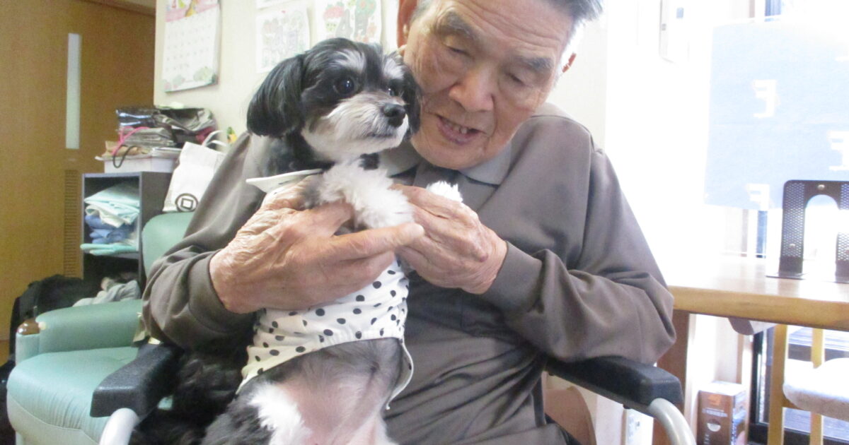 可愛い訪問者🐶