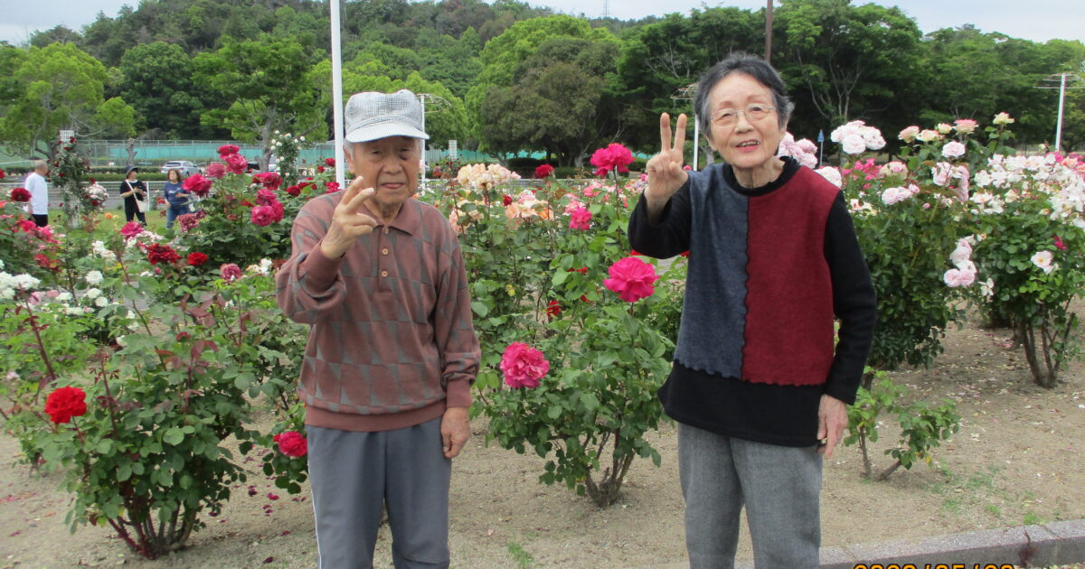 バラ園散策⛲🌹