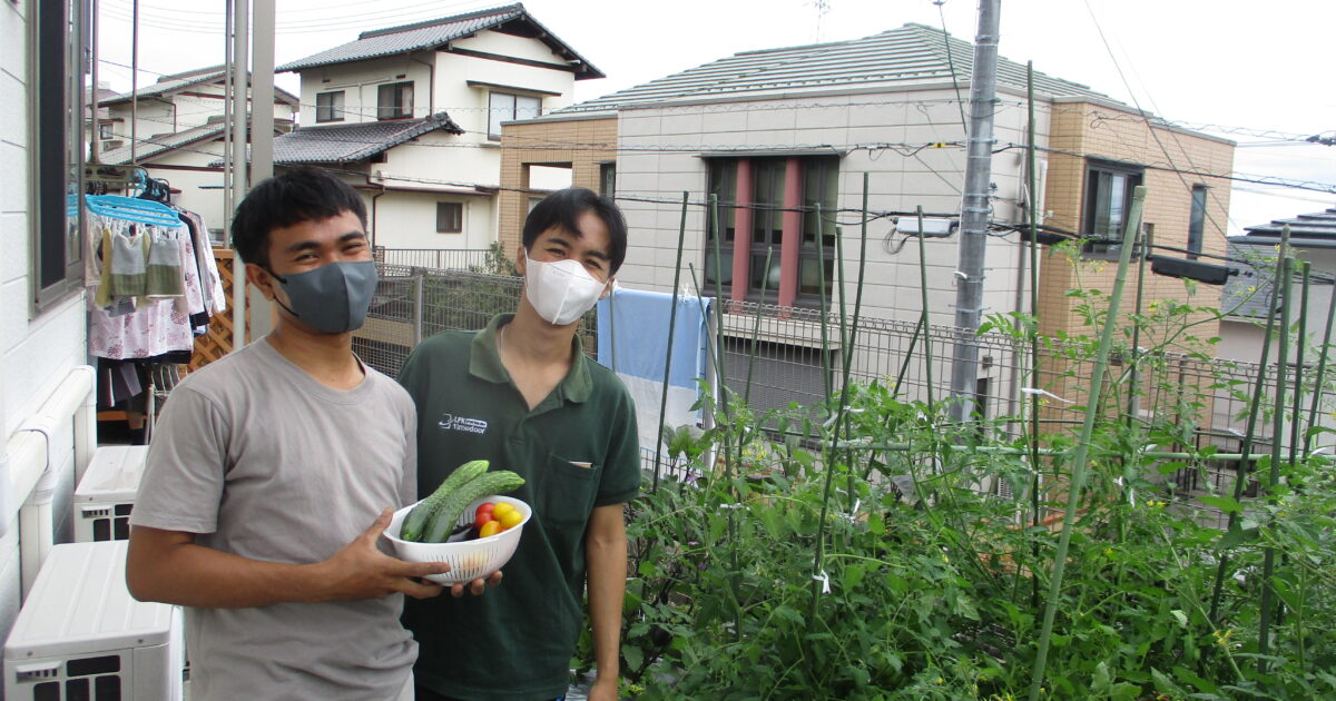 井口台　　夏野菜