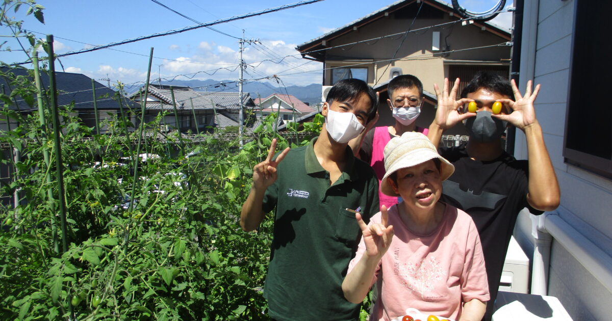 井口台　朝摂り野菜