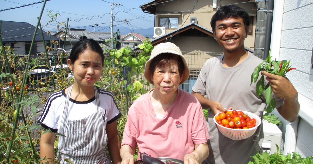 井口台　豊作です🍅